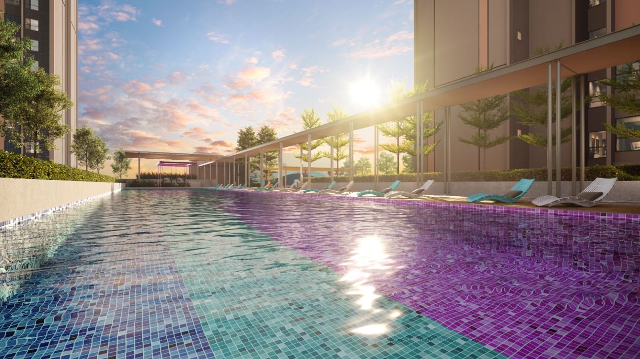 Vividz Pool