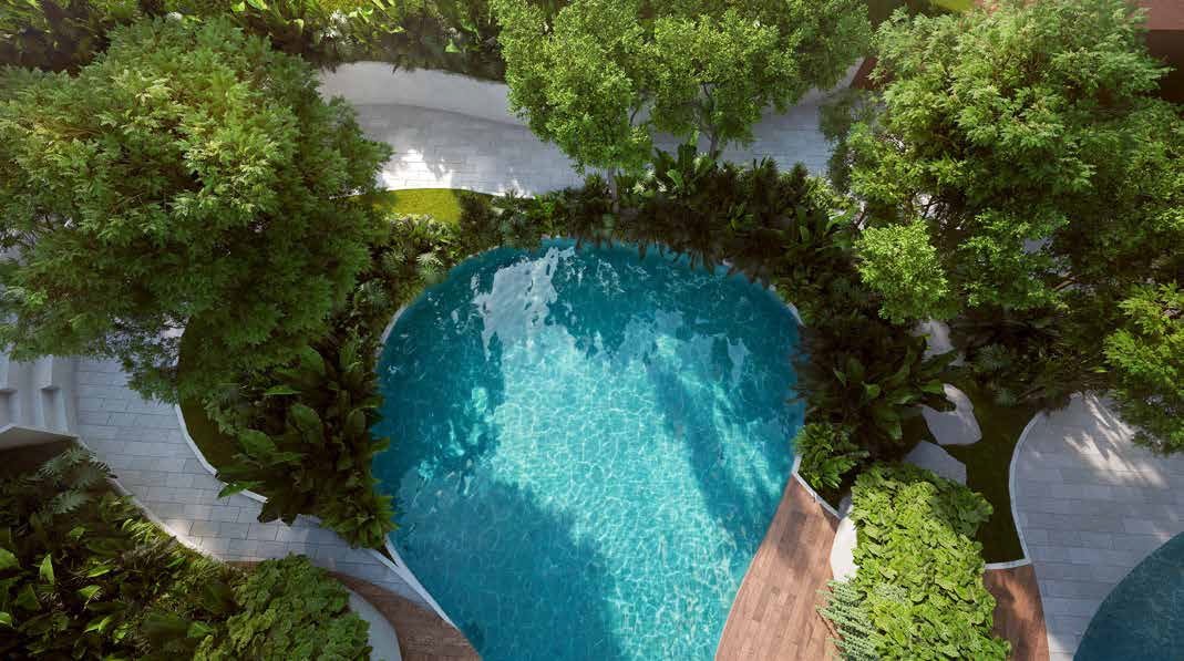 Cove Pool