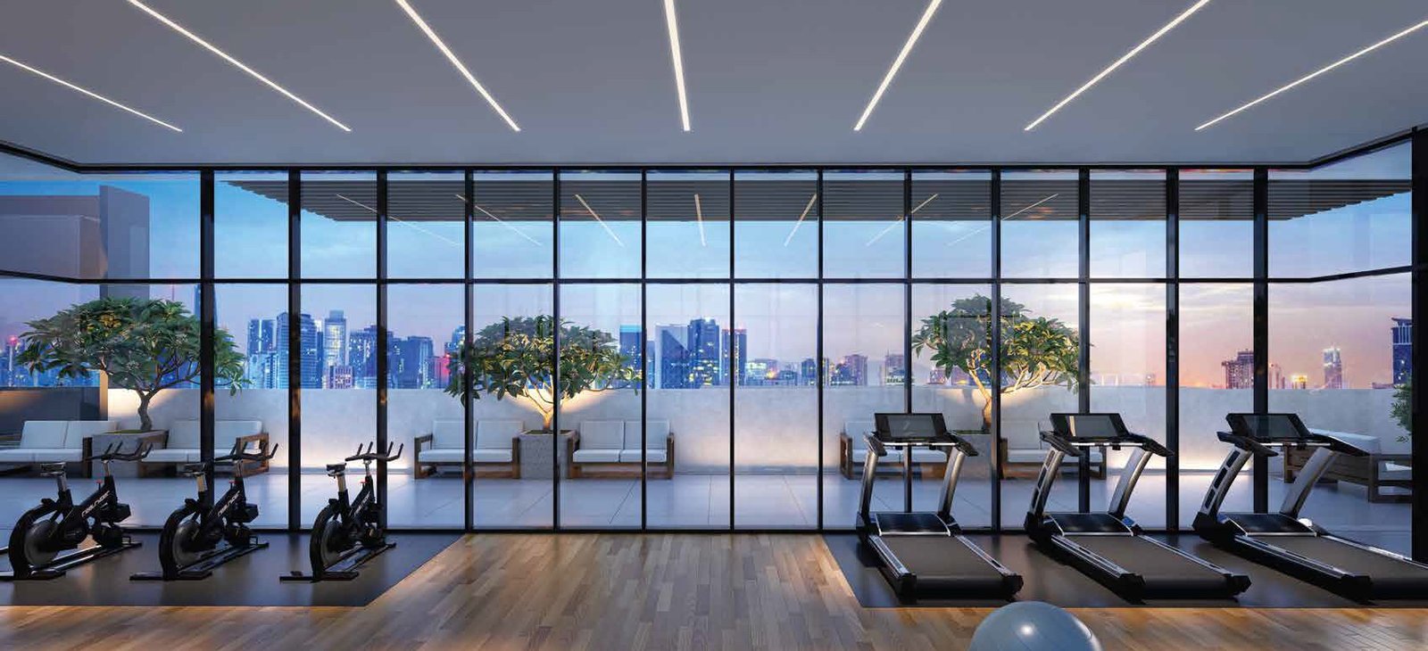 Sky Gym