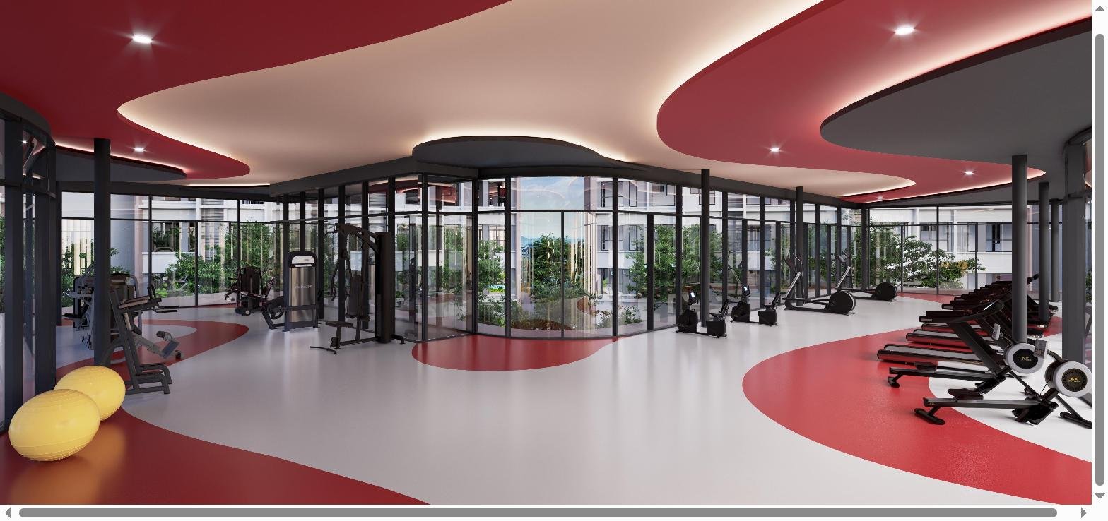 Gymnasium